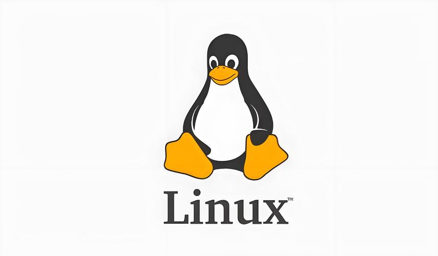 Linux网络工具协议对比与代理模式解析